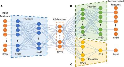 Abnormal structural and functional network topological properties associated with left prefrontal, parietal, and occipital cortices significantly predict childhood TBI-related attention deficits: A semi-supervised deep learning study